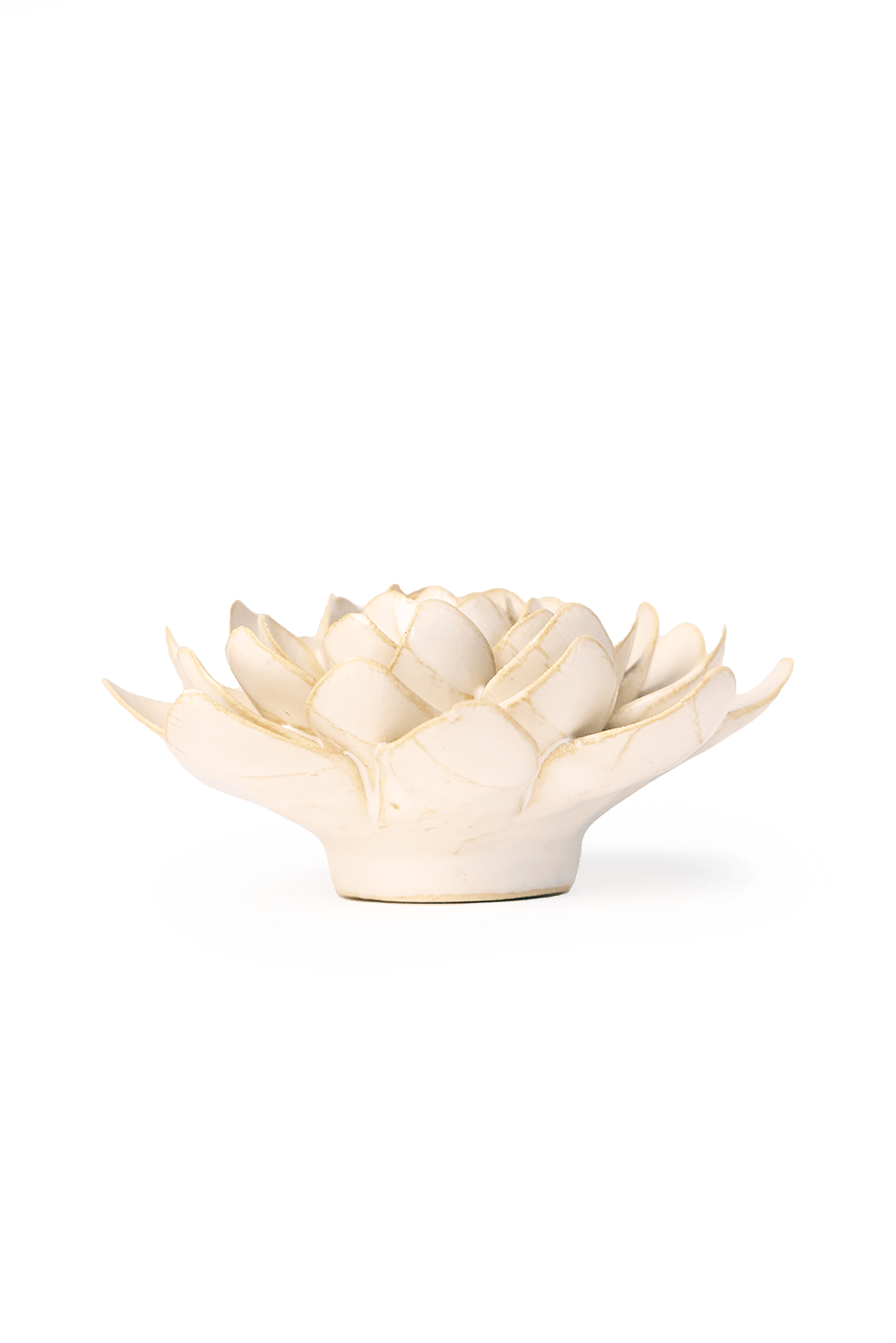 Ivory Snowdrop - Chive UK