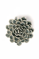 Pewter Blue Zinderella Zinnia - Chive UK