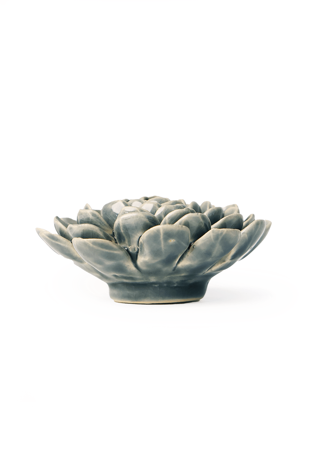 Pewter Blue Zinderella Zinnia - Chive UK