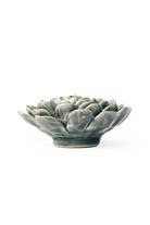 Pewter Blue Zinderella Zinnia - Chive UK