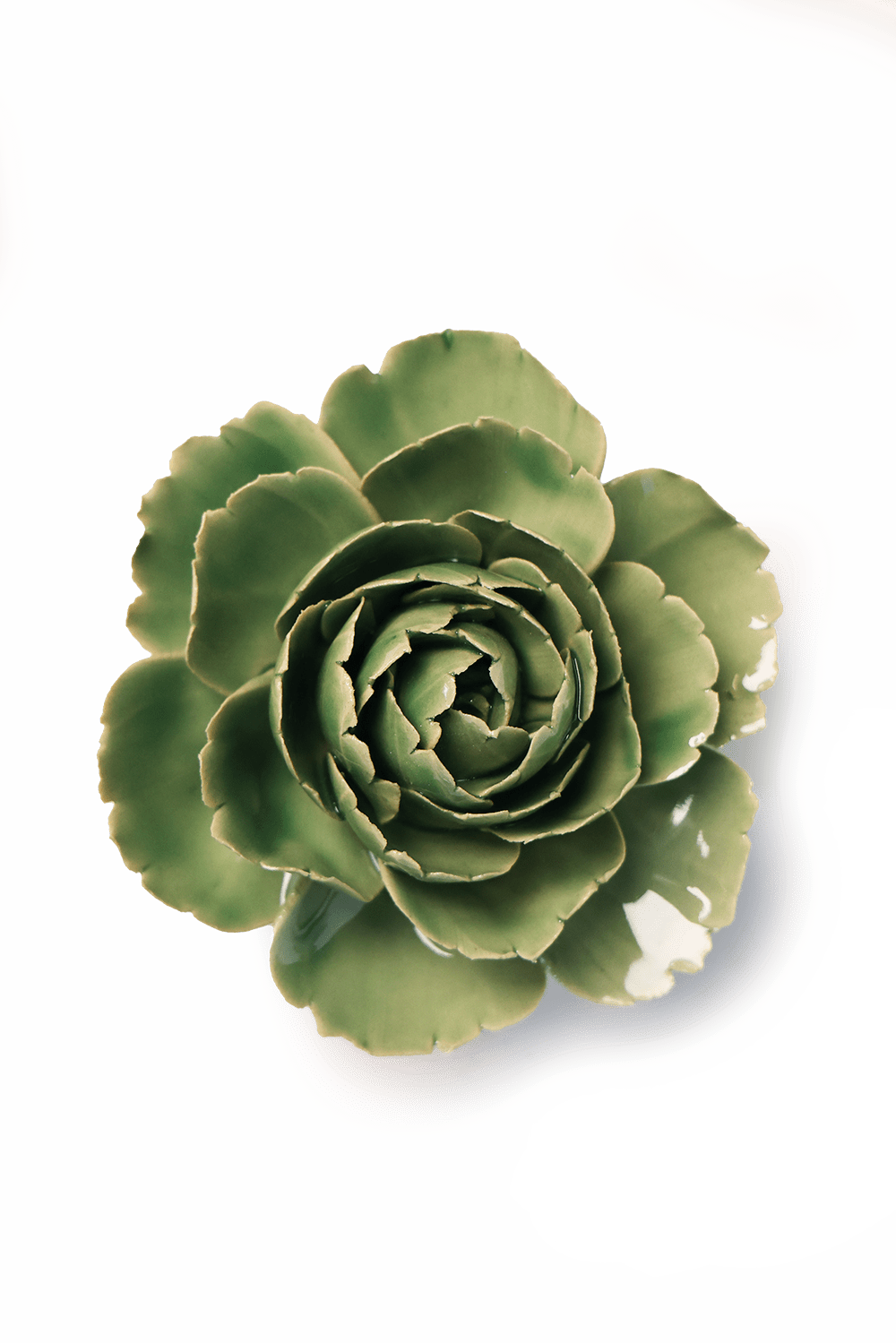 Jade Green English Rose - Chive UK