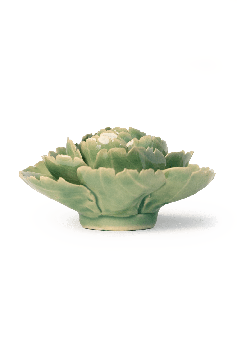 Jade Green English Rose - Chive UK