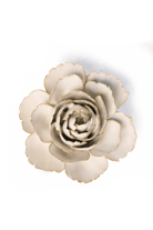 Ivory English Rose - Chive UK