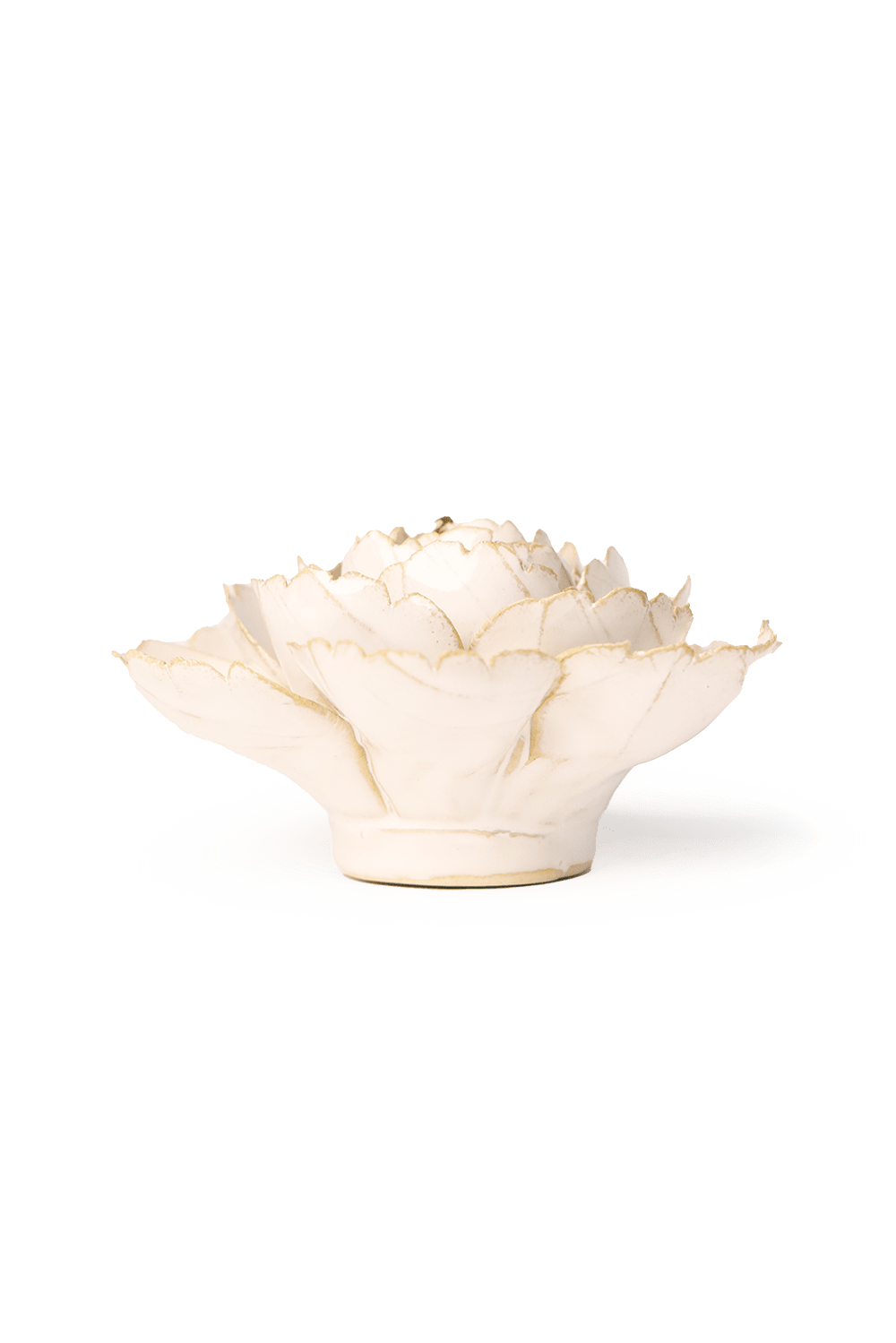 Ivory English Rose - Chive UK