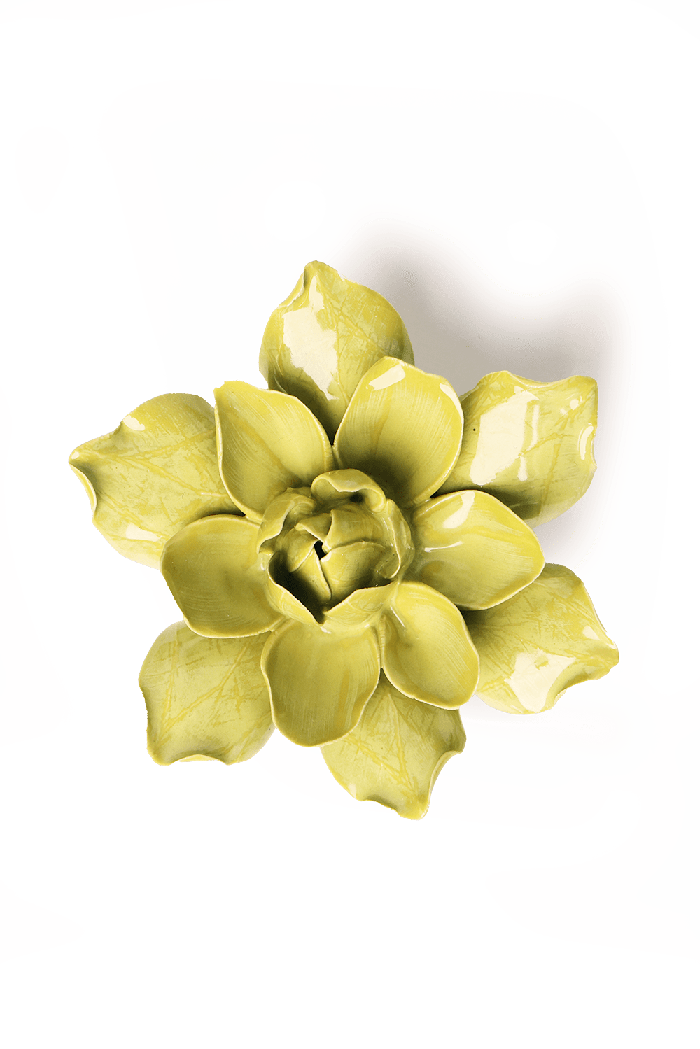 Chartreuse Columbine - Chive UK