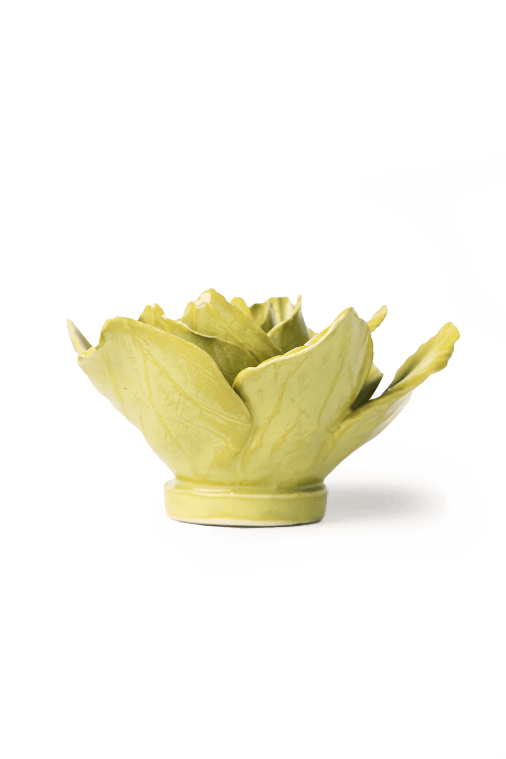 Chartreuse Gladiolus - Chive UK