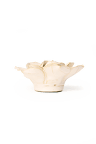 Ivory Daffodil - Chive UK