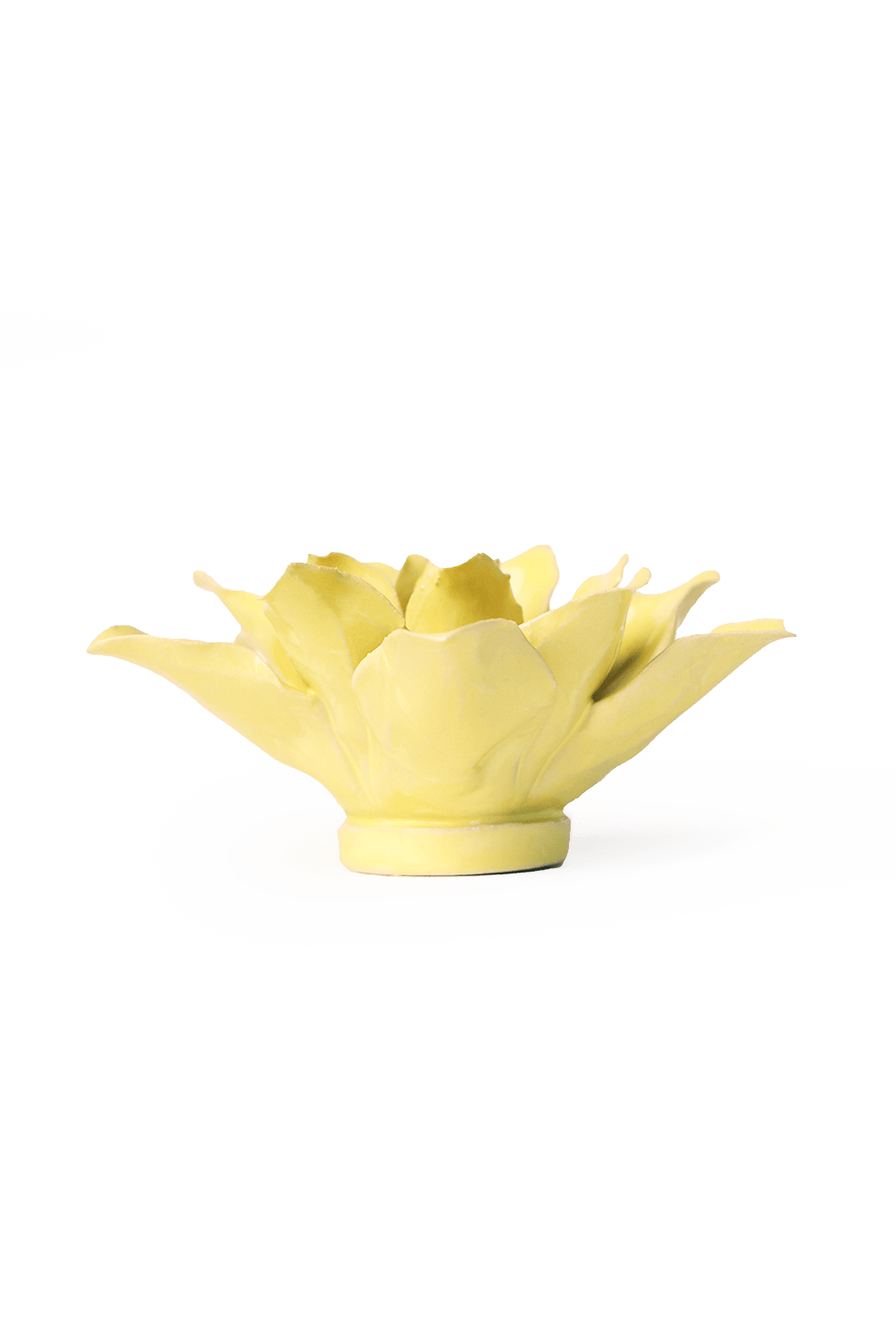 English Garden Lime Yellow Tiger Lily - Chive UK