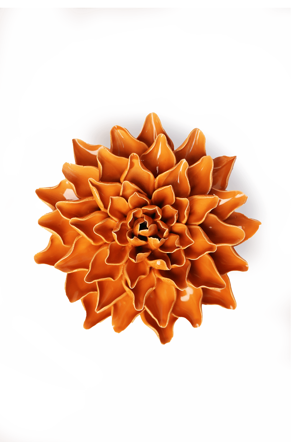 English Garden Orange Autumn Azalea - Chive UK