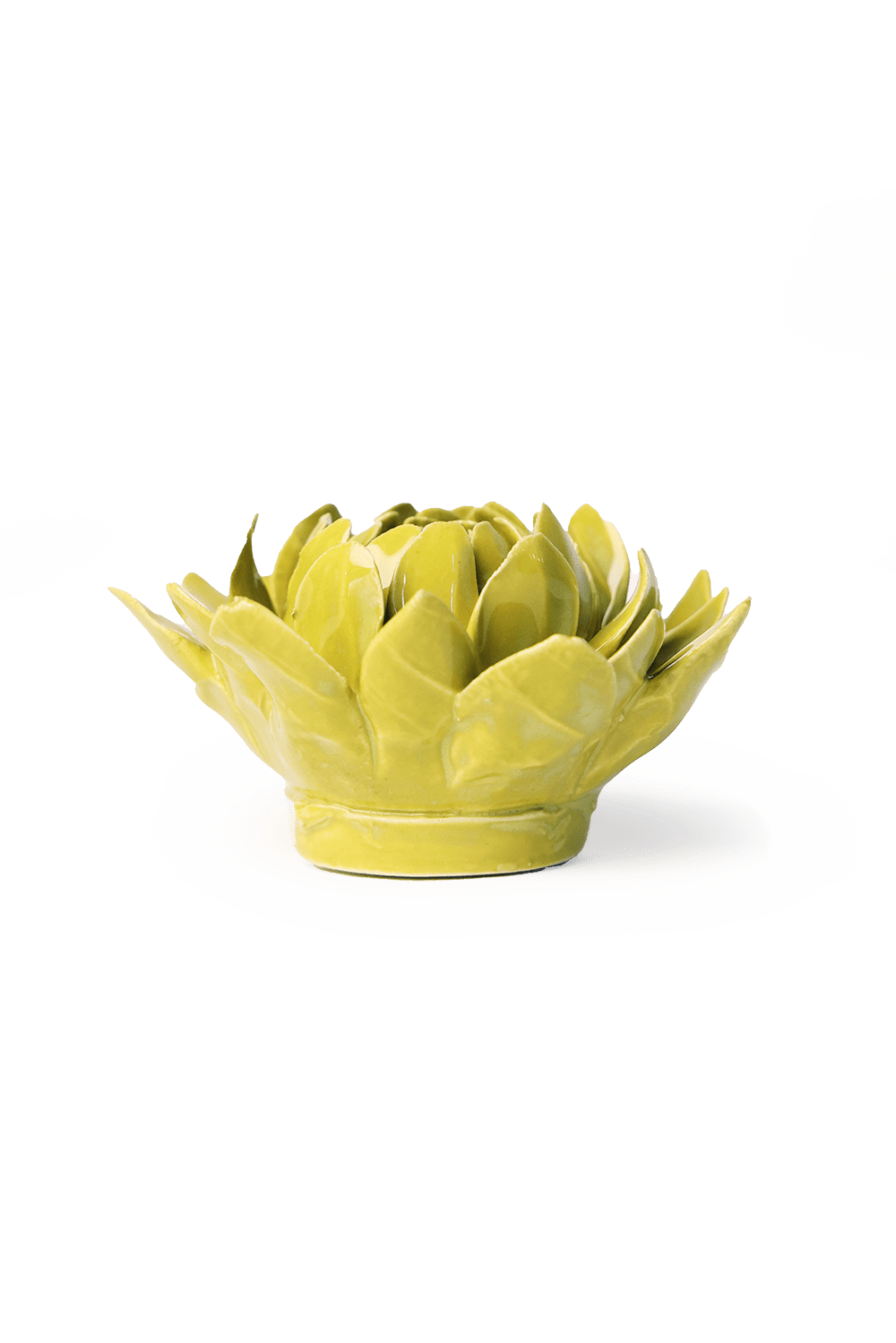 English Garden Chartreuse Sugarbush Protea - Chive UK