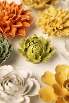 English Garden Chartreuse Sugarbush Protea - Chive UK