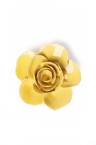English Garden Buttercup Yellow Elegance Ranunculus - Chive UK
