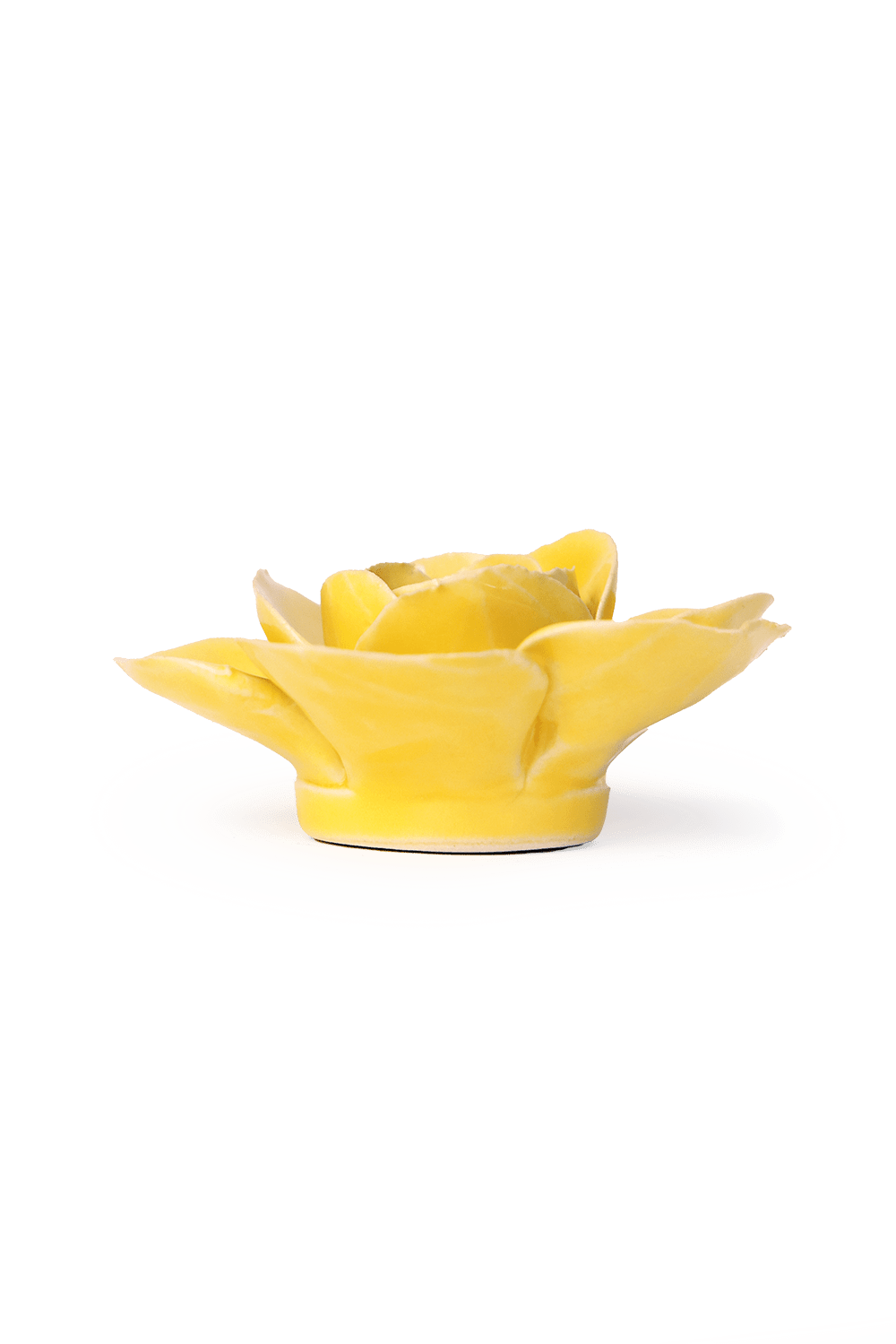 English Garden Buttercup Yellow Elegance Ranunculus - Chive UK