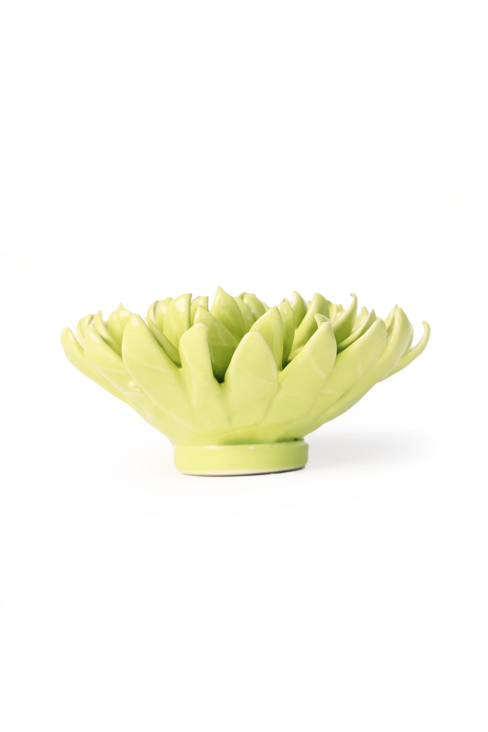 English Garden Yellow Green Pompom Mum - Chive UK