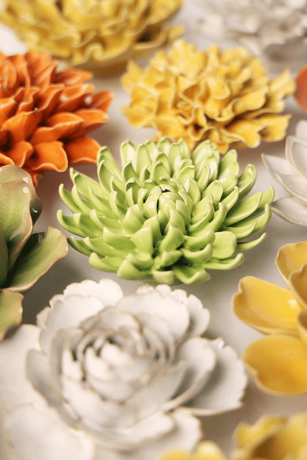 English Garden Yellow Green Pompom Mum - Chive UK