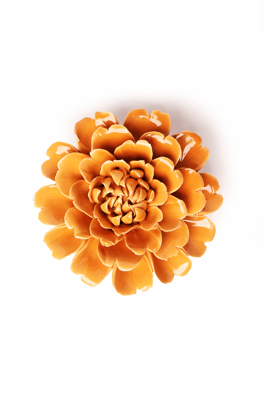 English Garden Orange Fiesta Marigold - Chive UK