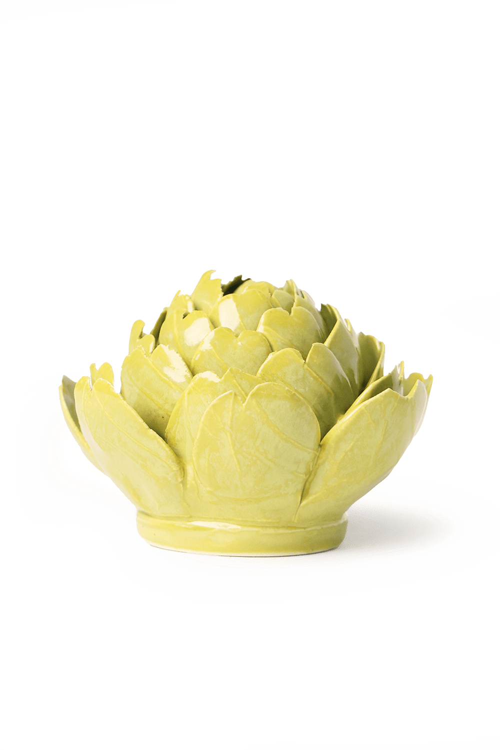 English Garden Chartreuse Queen Protea - Chive UK