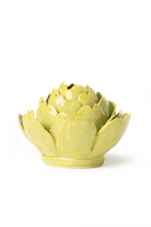 English Garden Chartreuse Queen Protea - Chive UK