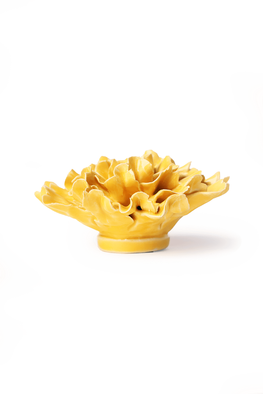 English Garden Burnt Yellow Tundra Carnation - Chive UK