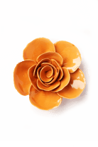 English Garden Orange Elegance Ranunculus - Chive UK