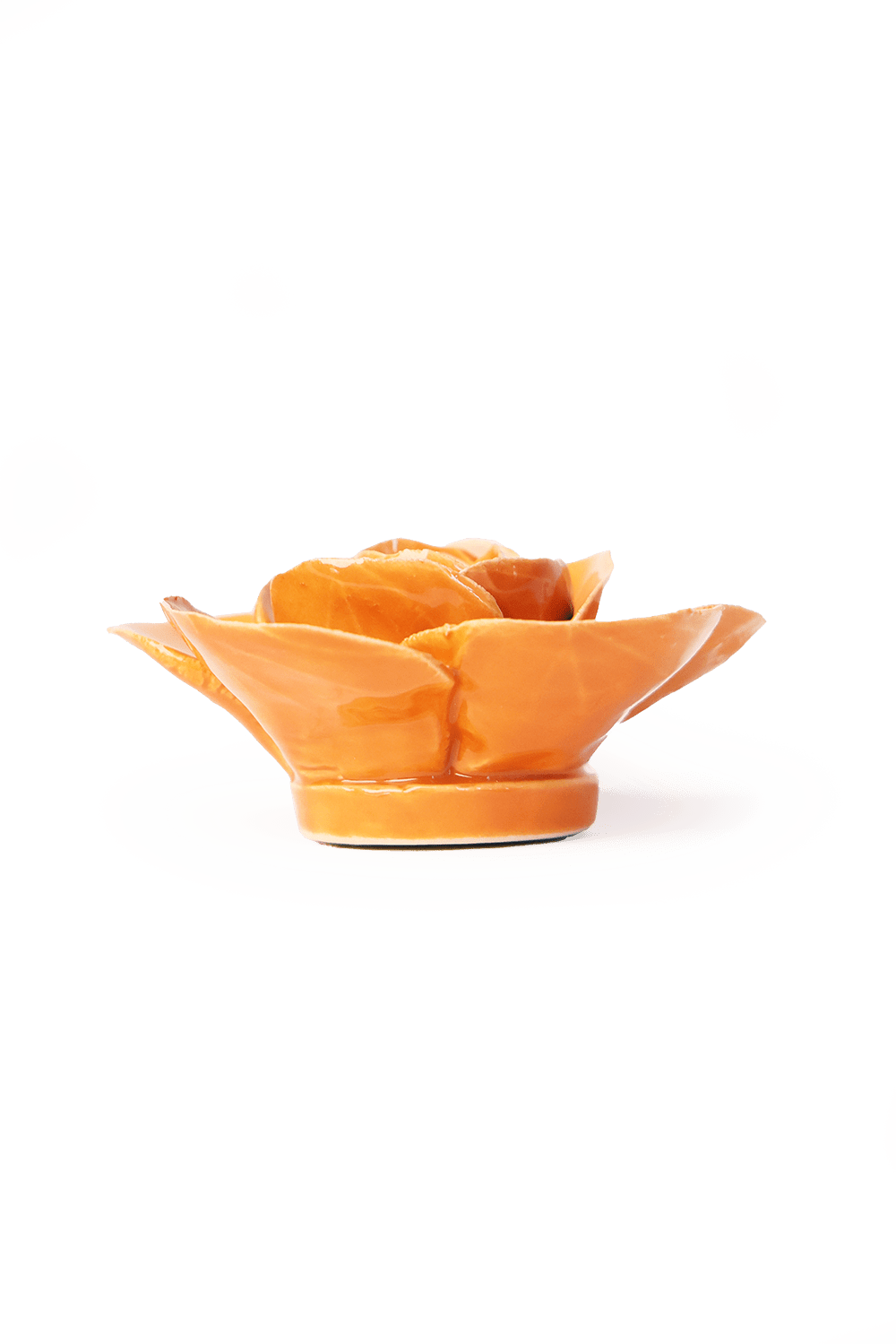 English Garden Orange Elegance Ranunculus - Chive UK