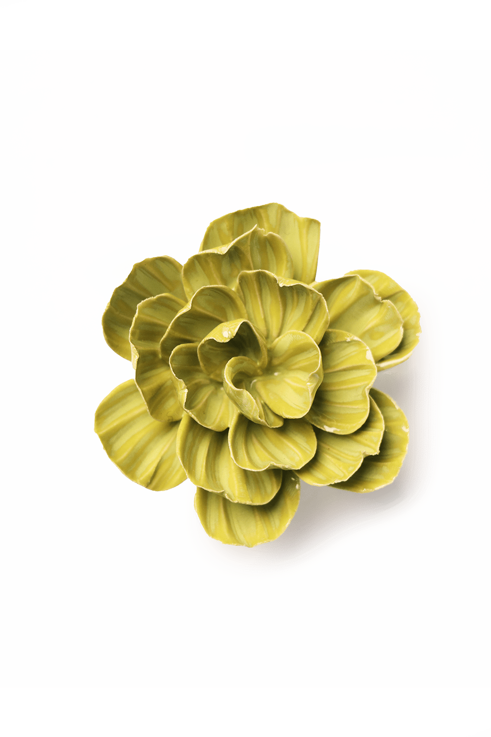 English Garden Chartreuse Primrose - Chive UK