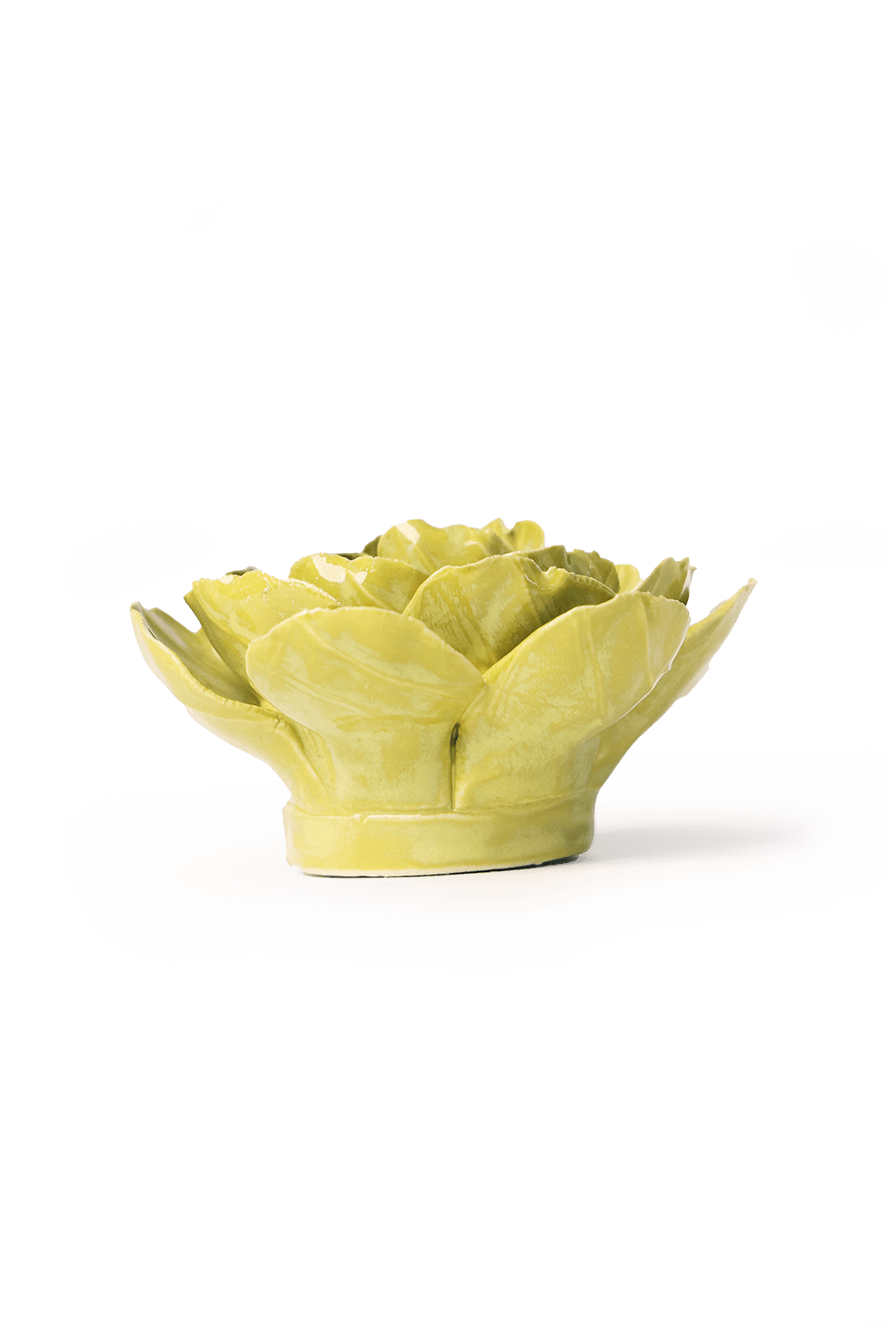 English Garden Chartreuse Primrose - Chive UK