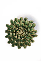 English Garden Jungle Green Pompom Mum - Chive UK