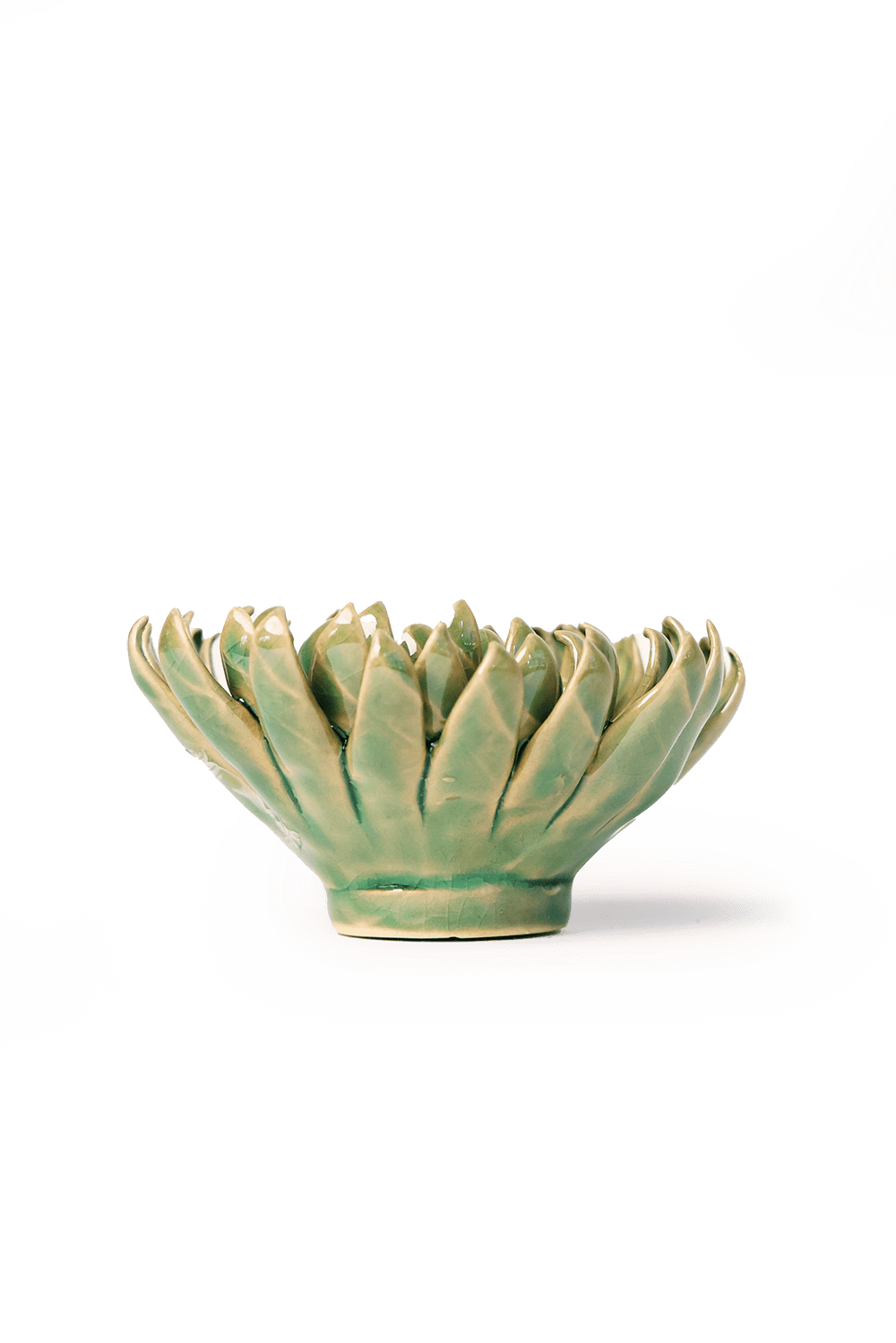 English Garden Jungle Green Pompom Mum - Chive UK