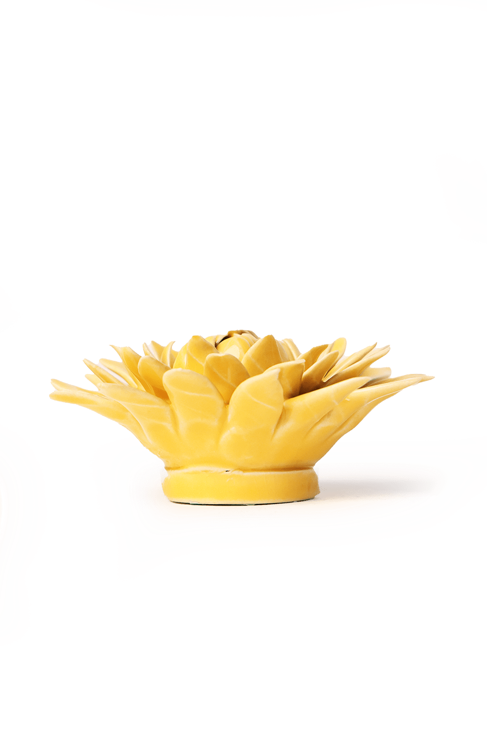 English Garden Burnt Yellow Strawflower - Chive UK