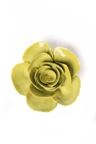 English Garden Chartreuse Elegance Ranunculus - Chive UK