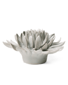 English Garden Ceramic Flower Mint Mum - Chive UK