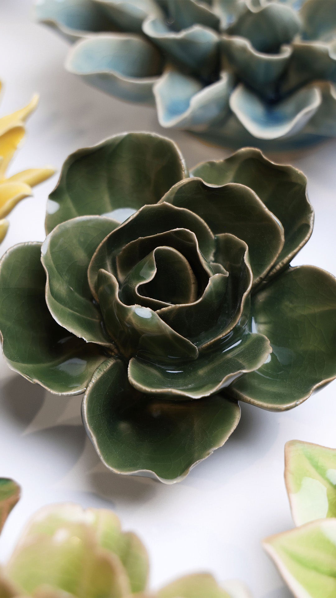 Fir Green Butterfly Ranunculus - Chive UK