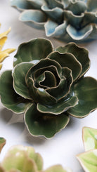 Fir Green Butterfly Ranunculus - Chive UK