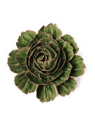 English Garden Ceramic Flower Green Cabbage Flower - Chive UK