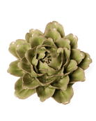 English Garden Ceramic Flower Green Tree Peony - Chive UK