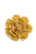 June Birth Flower - Rose - Chive UK