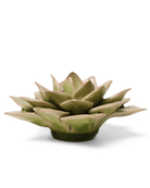 English Garden Ceramic Flower Green Medium Succulent - Chive UK