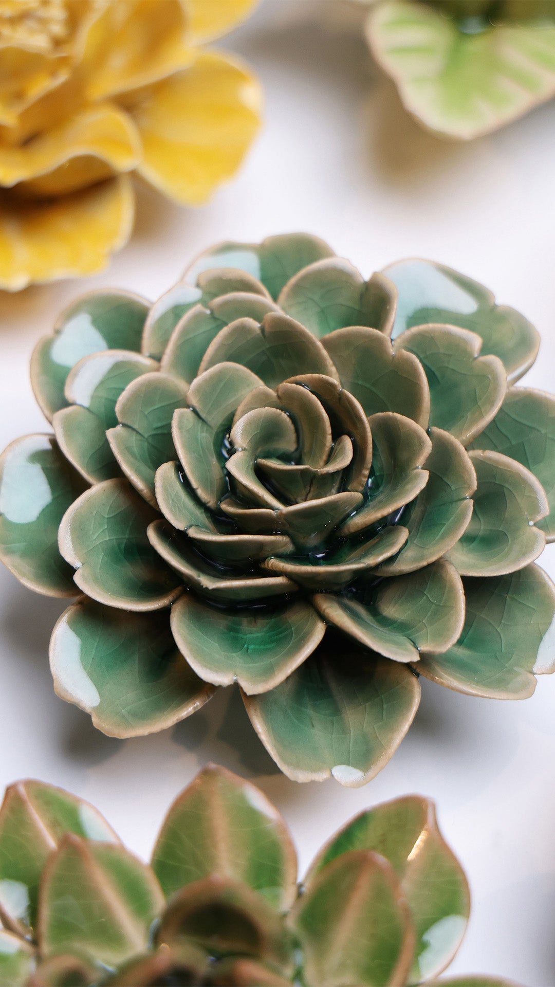 Jungle Green Tea Rose - Chive UK