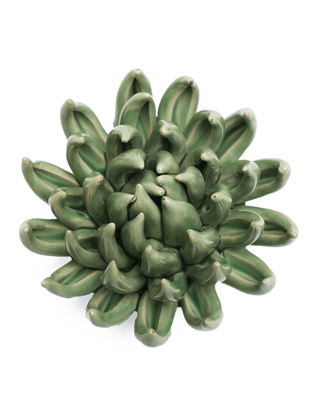 English Garden Ceramic Flower Green Large Succulent
