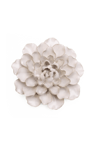 Ivory European Water Lily - Chive UK