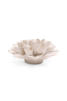 Ivory European Water Lily - Chive UK