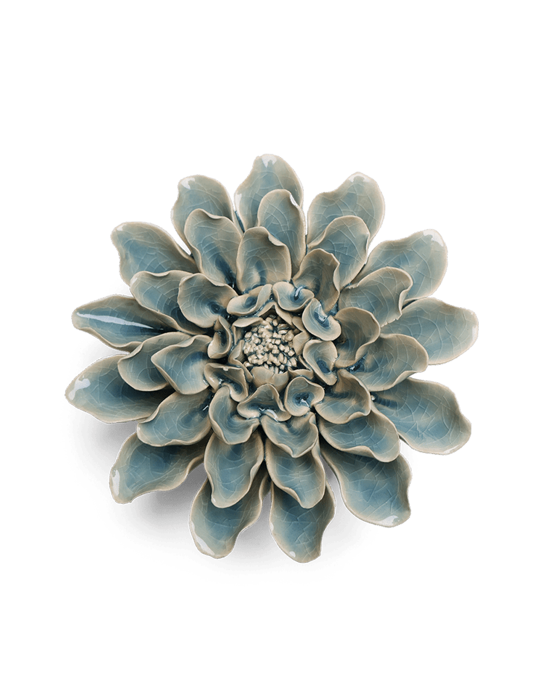 Powder Blue Aphrodite Dahlia - Chive UK