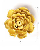 Buttercup Yellow Gay Paree Peony - Chive UK