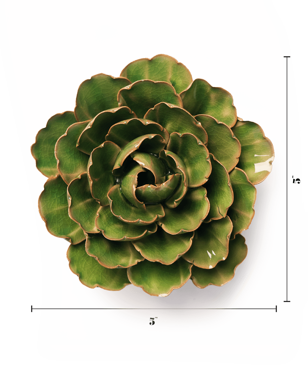 Avocado Green Keiko Peony - Chive UK