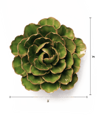 Avocado Green Keiko Peony - Chive UK