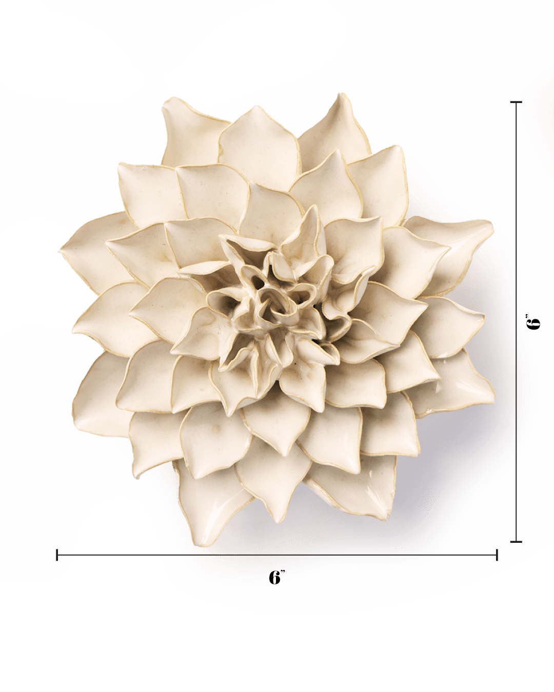 Ivory Autumn Azalea - Chive UK