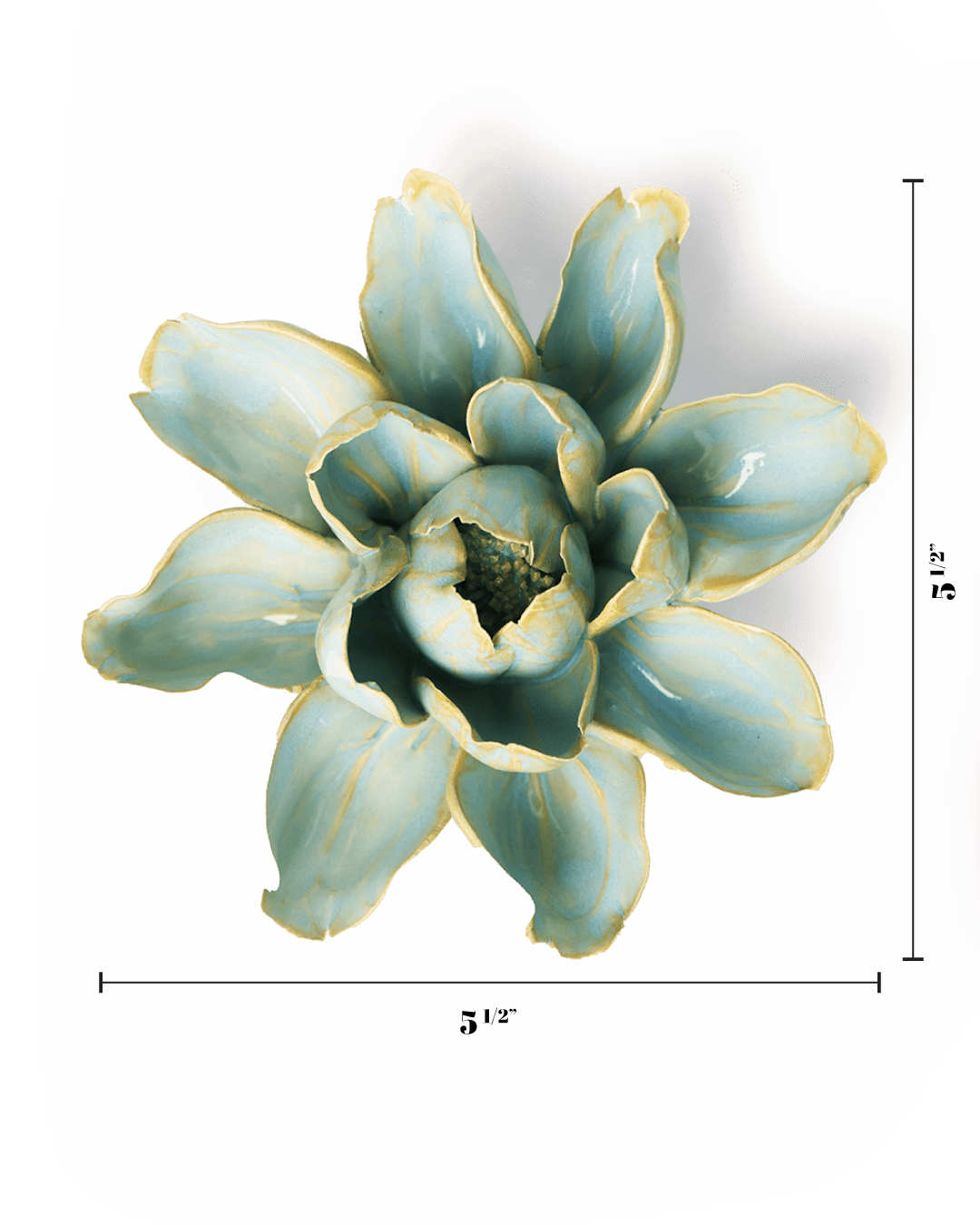 Robin's Egg Blue Aurora Water Lily - Chive UK