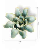 Robin's Egg Blue Aurora Water Lily - Chive UK