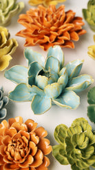 Robin's Egg Blue Aurora Water Lily - Chive UK